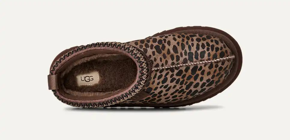 UGG Women's Tazz Caspian in Burnt Cedar