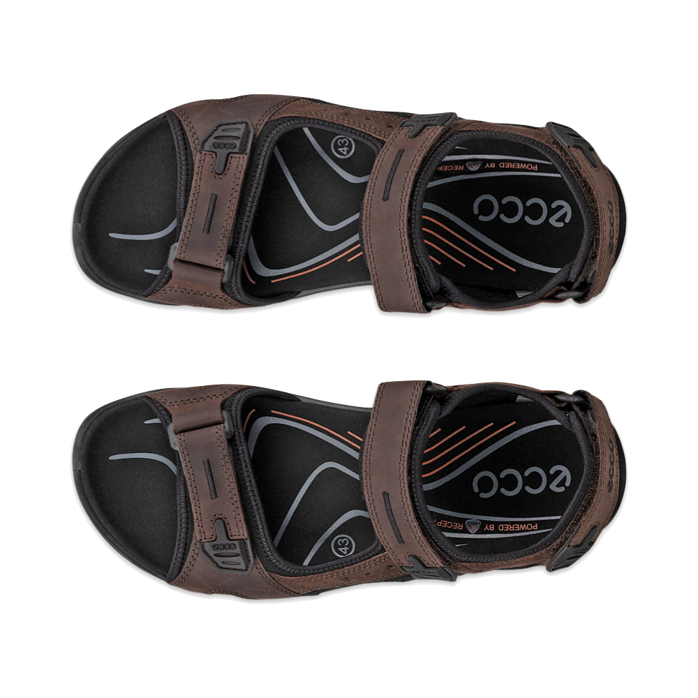 Top-down view of Ecco Yucatan Sandal for men.