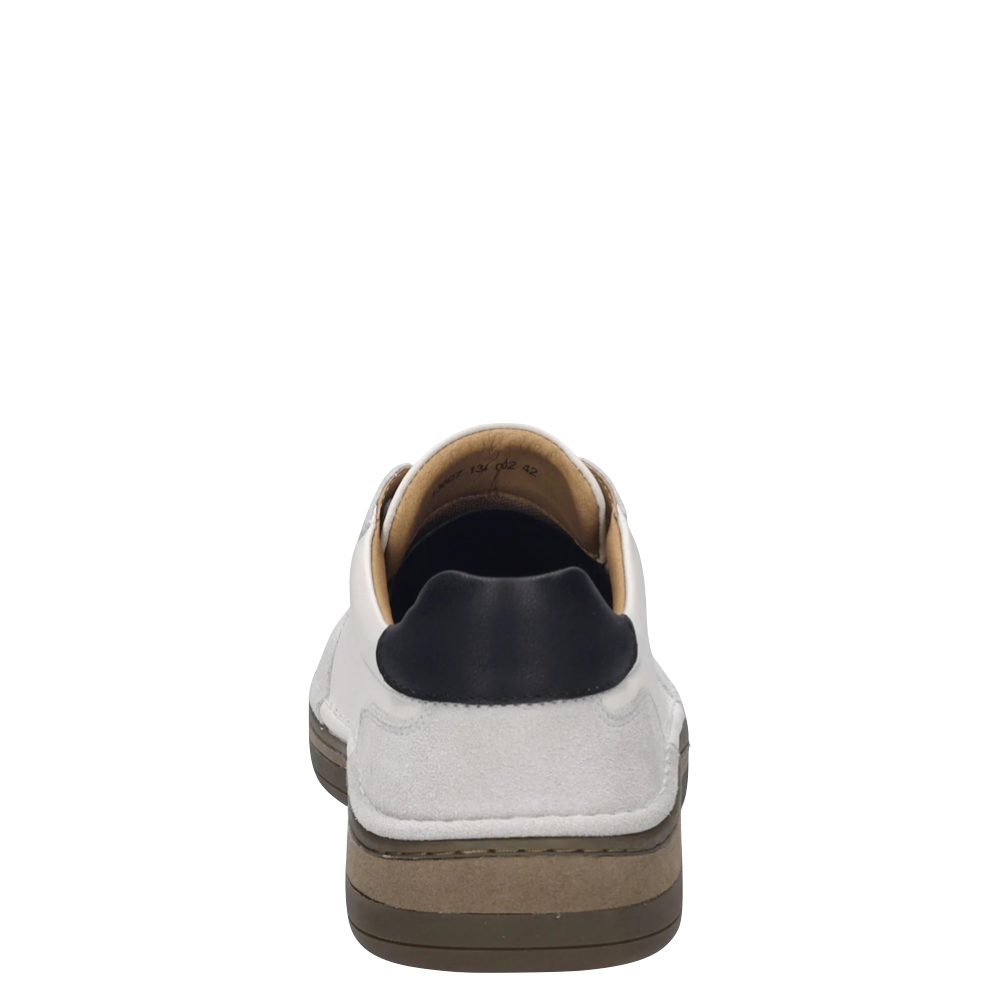 Back view of Josef Seibel Cleve 07 Sneaker for men.
