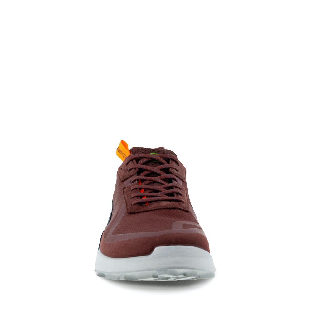 Ecco Men's Biom 2.1 X Country GTX Waterproof Lace Sneaker (Chocolate)