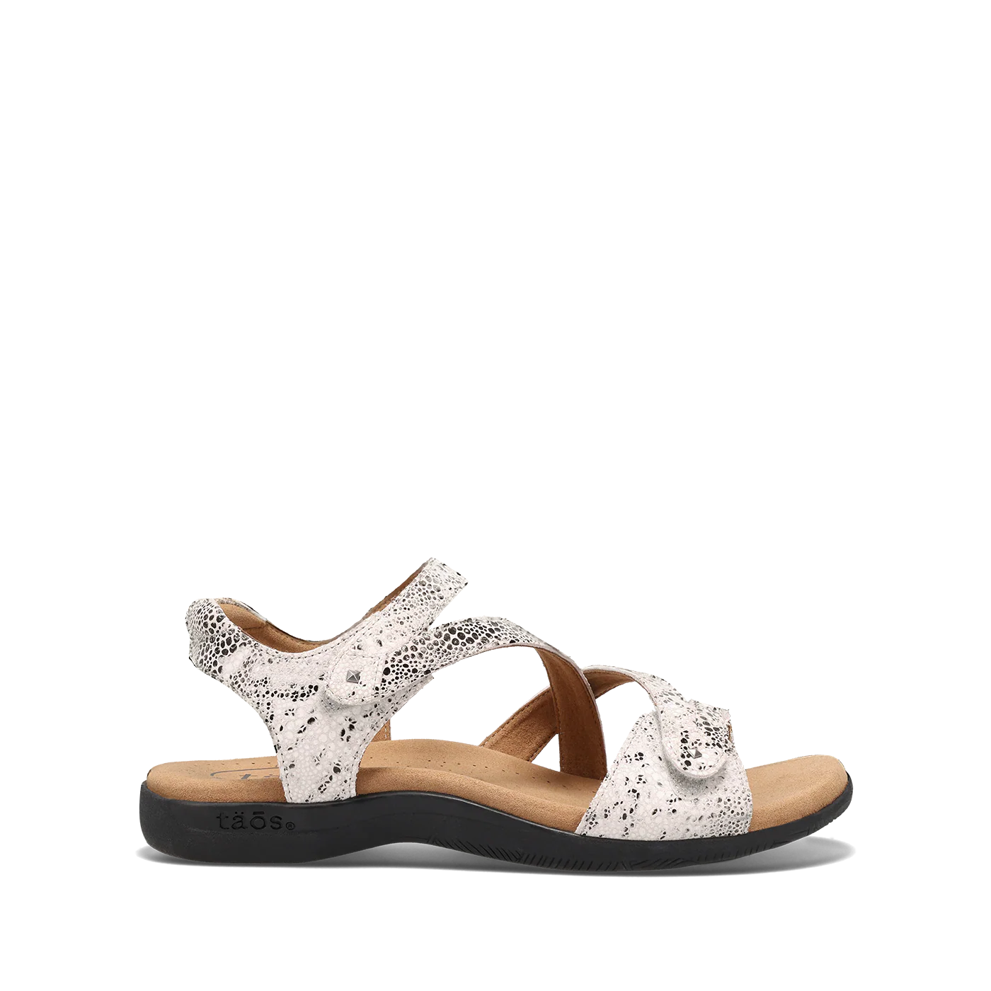 Taos Women's Big Time Sandal in Grey Snake