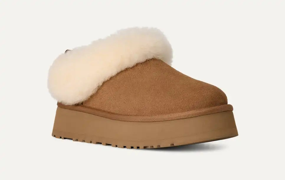 UGG Women's Tazzelle in Chestnut