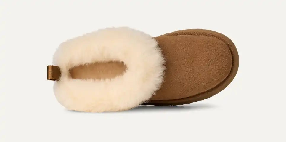 UGG Women's Tazzelle in Chestnut