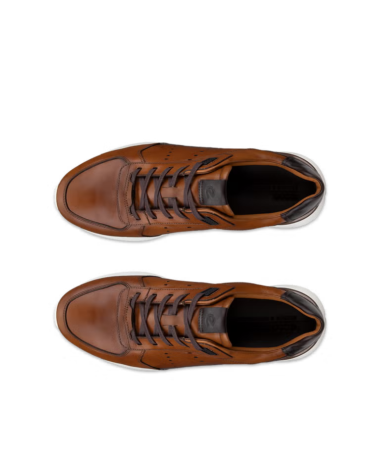 ECCO Men's Astir Neo Leather Sneaker in Brown Saddle/Cocoa