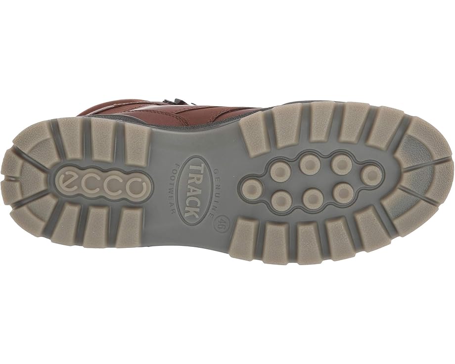 Ecco Men's Leather Gore-Tex Mid-Cut Track 25 Boot in Bison