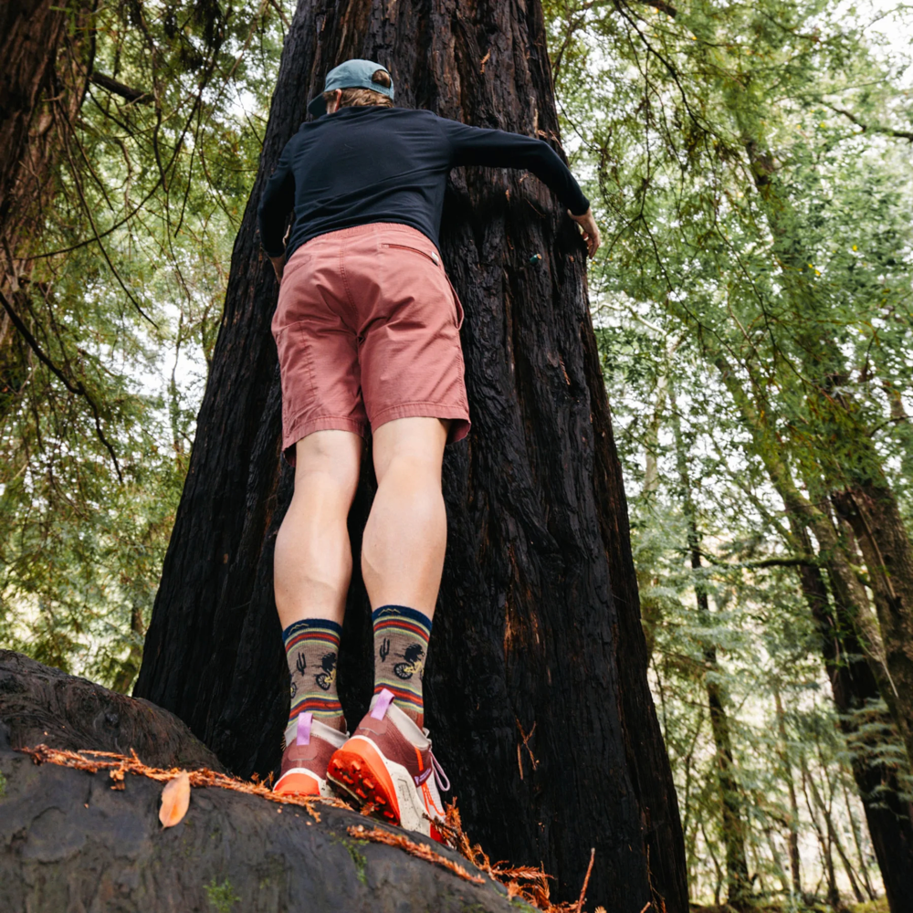 Model view of Darn Tough Willoughby Micro Crew Lightweight Hiking Socks for men.