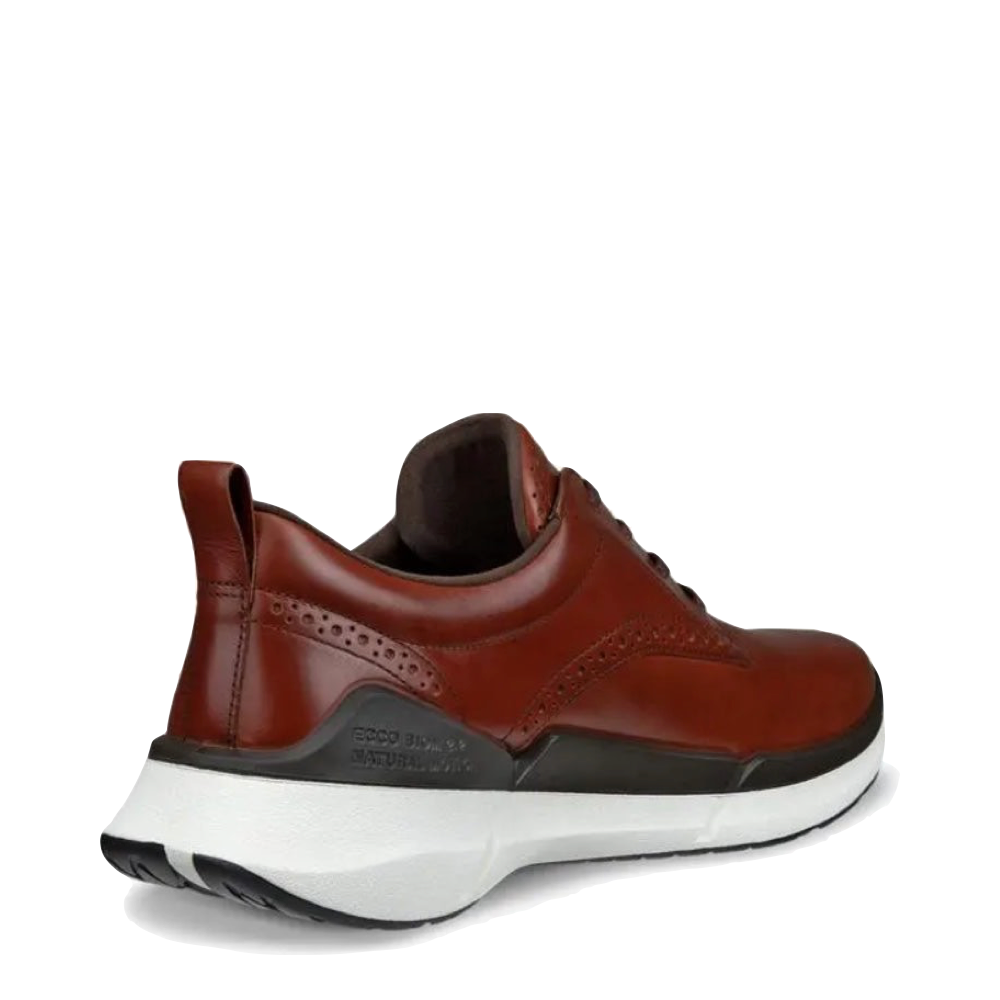 Heel view of Ecco Biom 2.2 Hybrid Leather Sneaker for men.