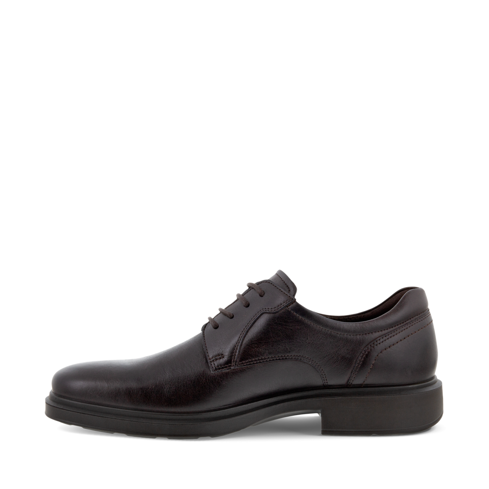 Side (left) view of Ecco Helsinki 2 Plain Toe Tie Shoe for men.