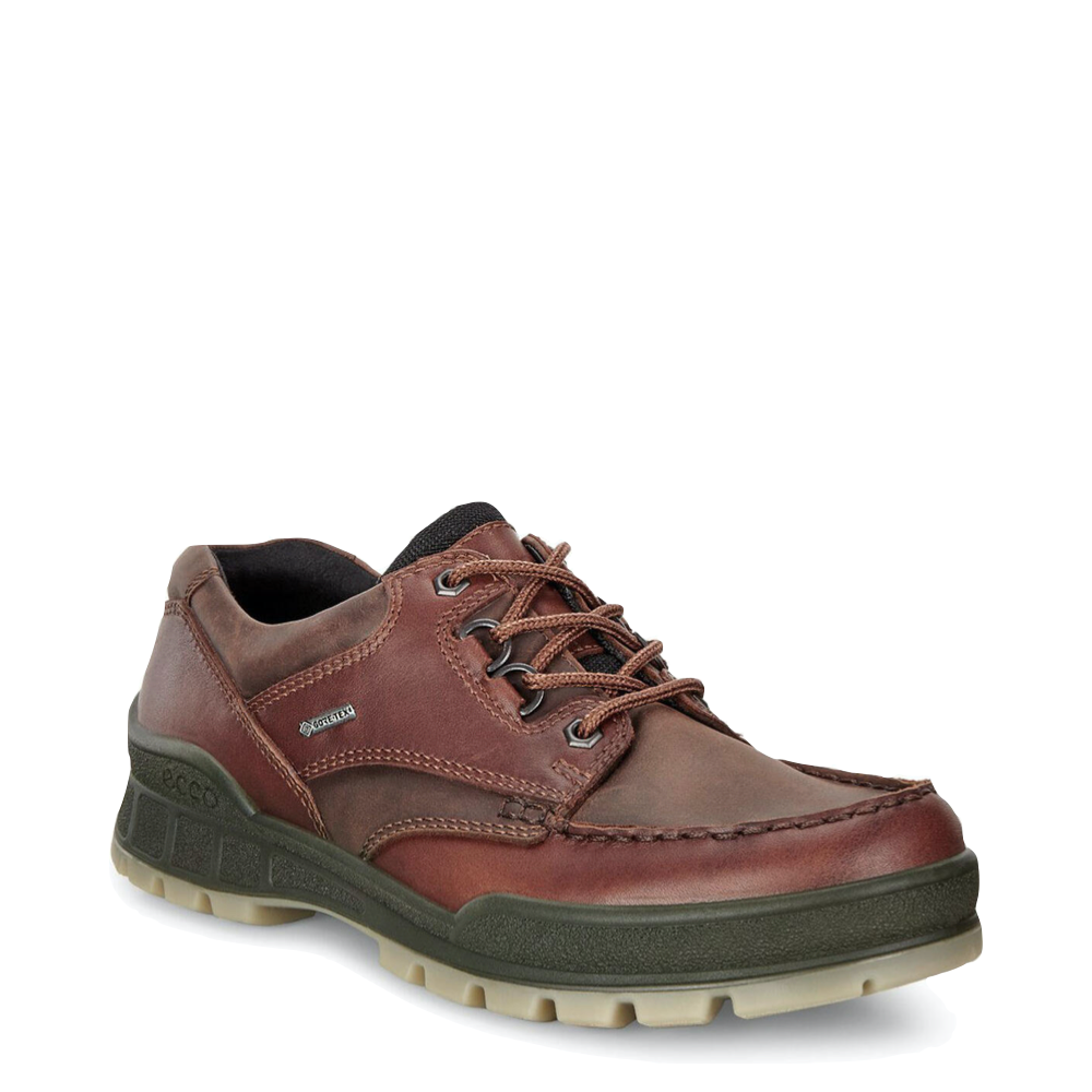 Mudguard and Toe view of Ecco Track 25 Low GTX Waterproof Leather Shoe for men.