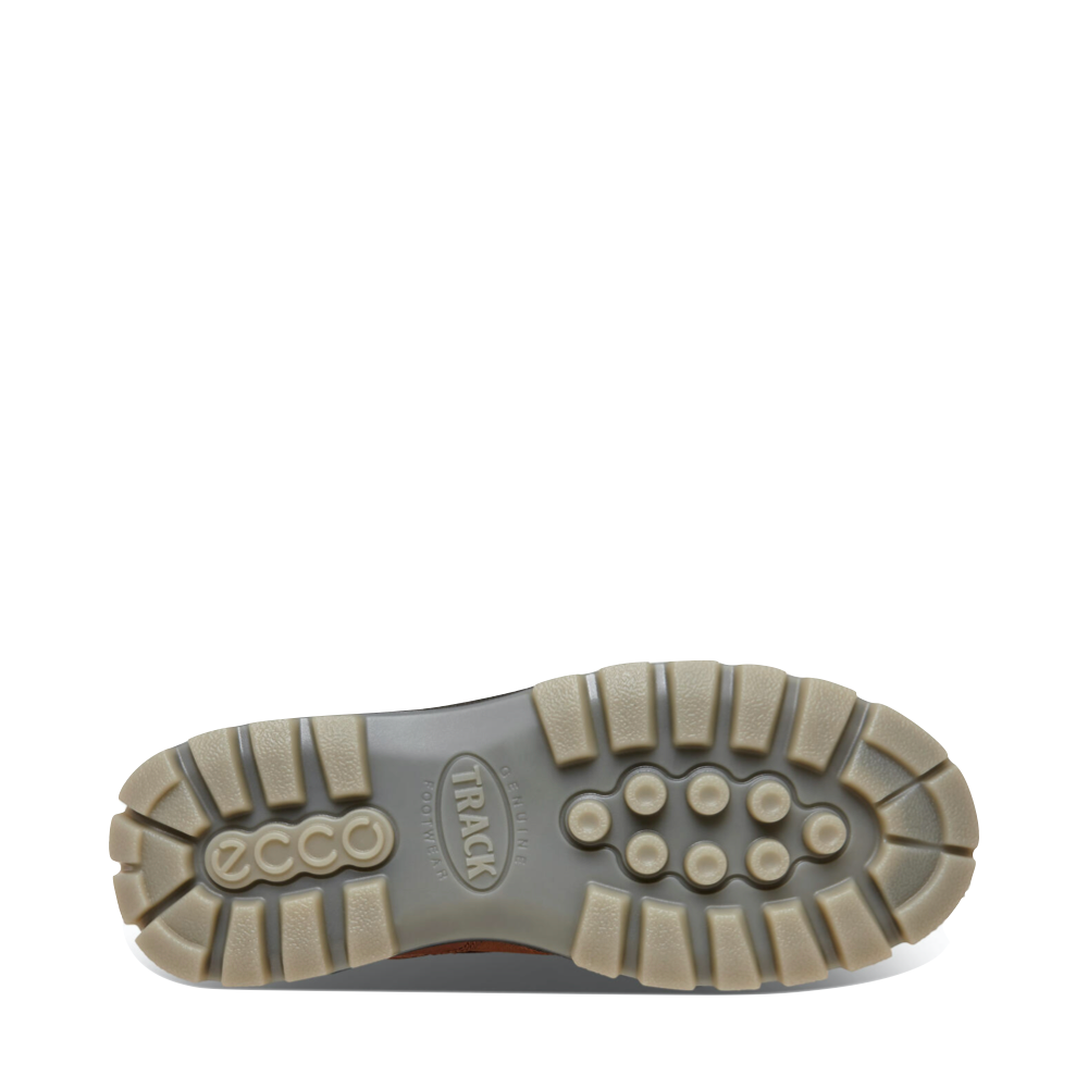 Bottom view of Ecco Track 25 Low GTX Waterproof Leather Shoe for men.
