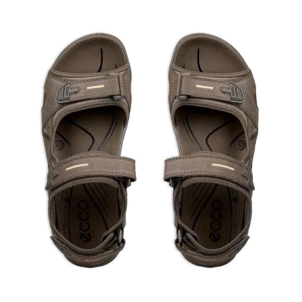Top-down view of Ecco Yucatan Sandals for men.