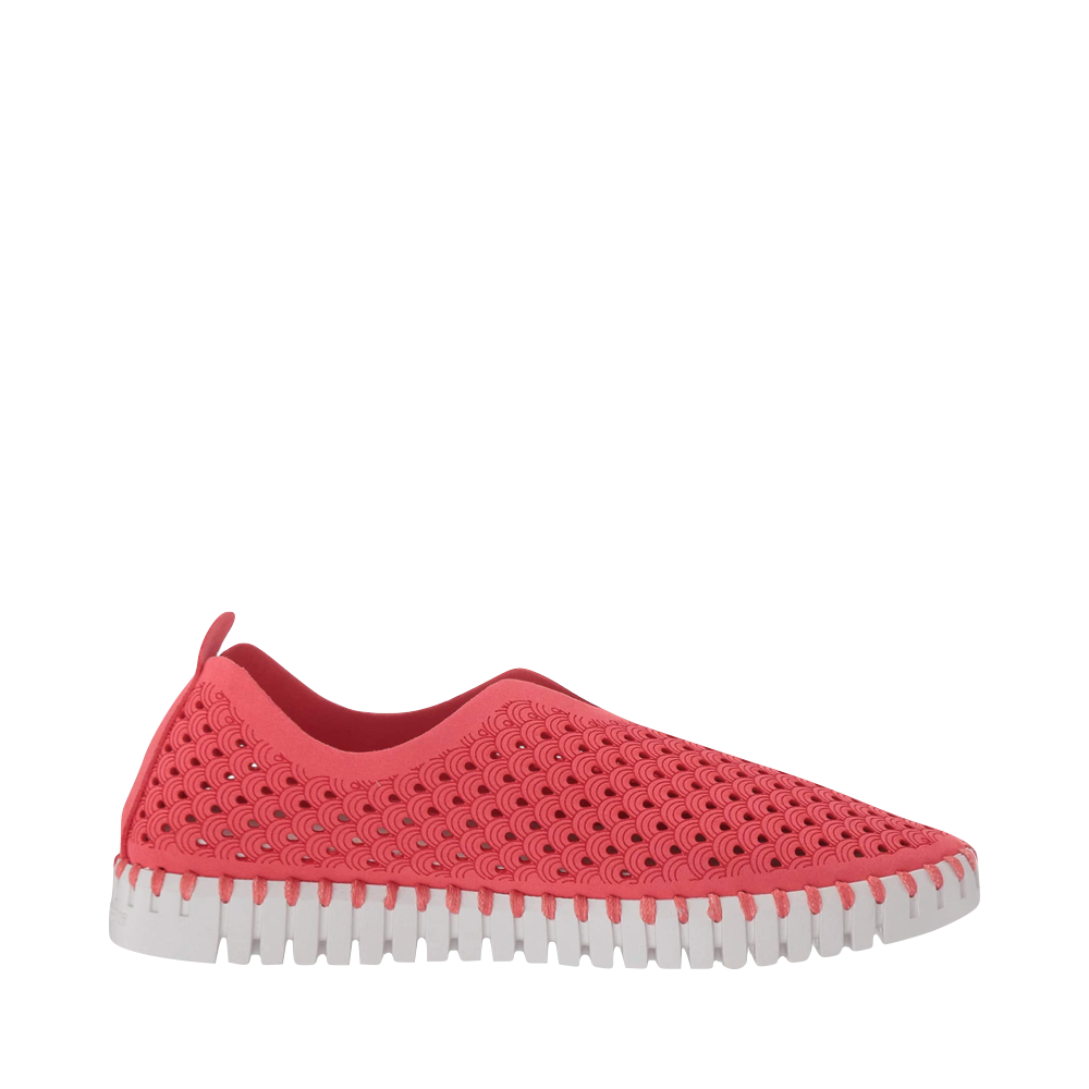 Ilse Jacobsen Women's Tulip 139 Perfed Slip On (Raspberry)