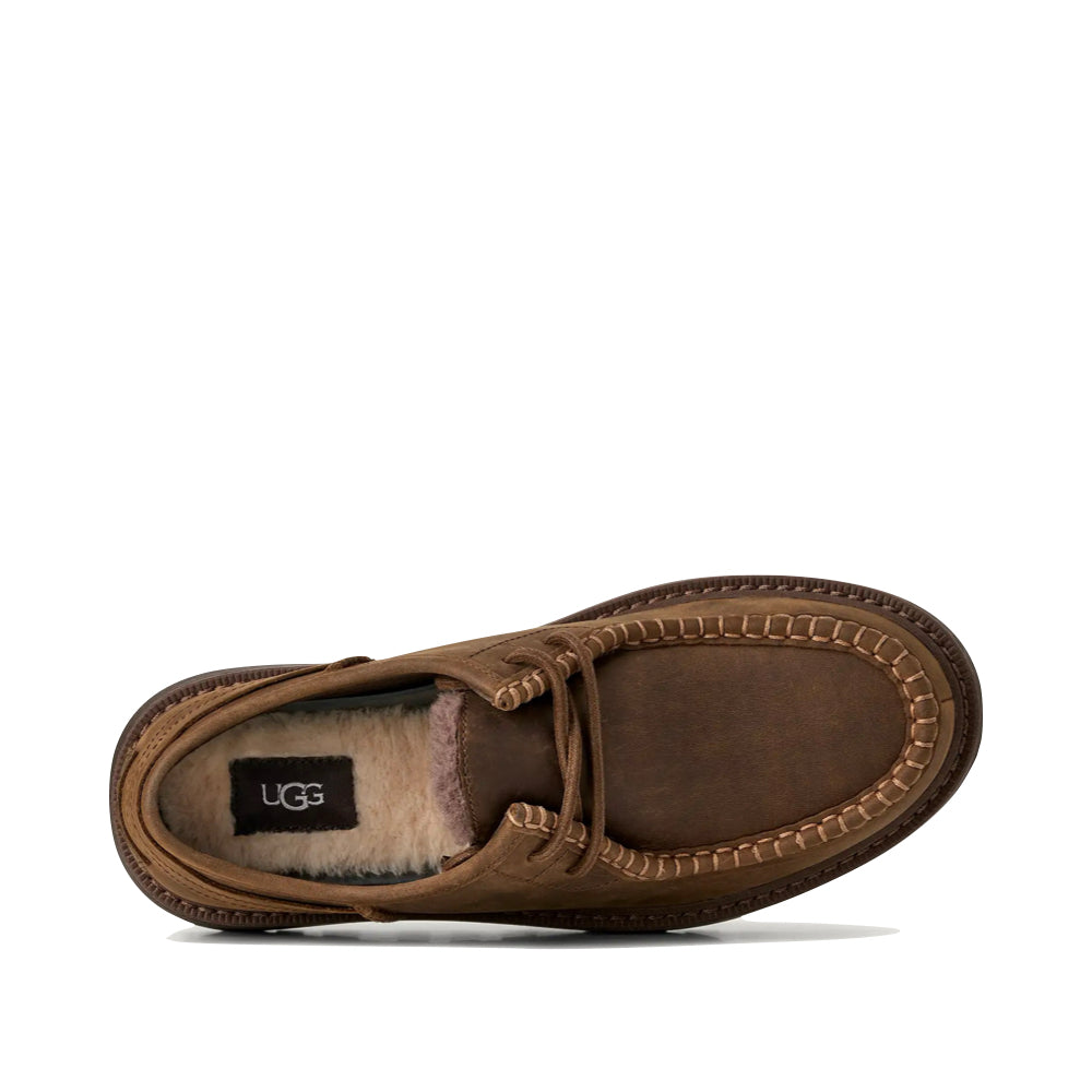 Top-down view of Ugg Loften Tie Shoe for men.