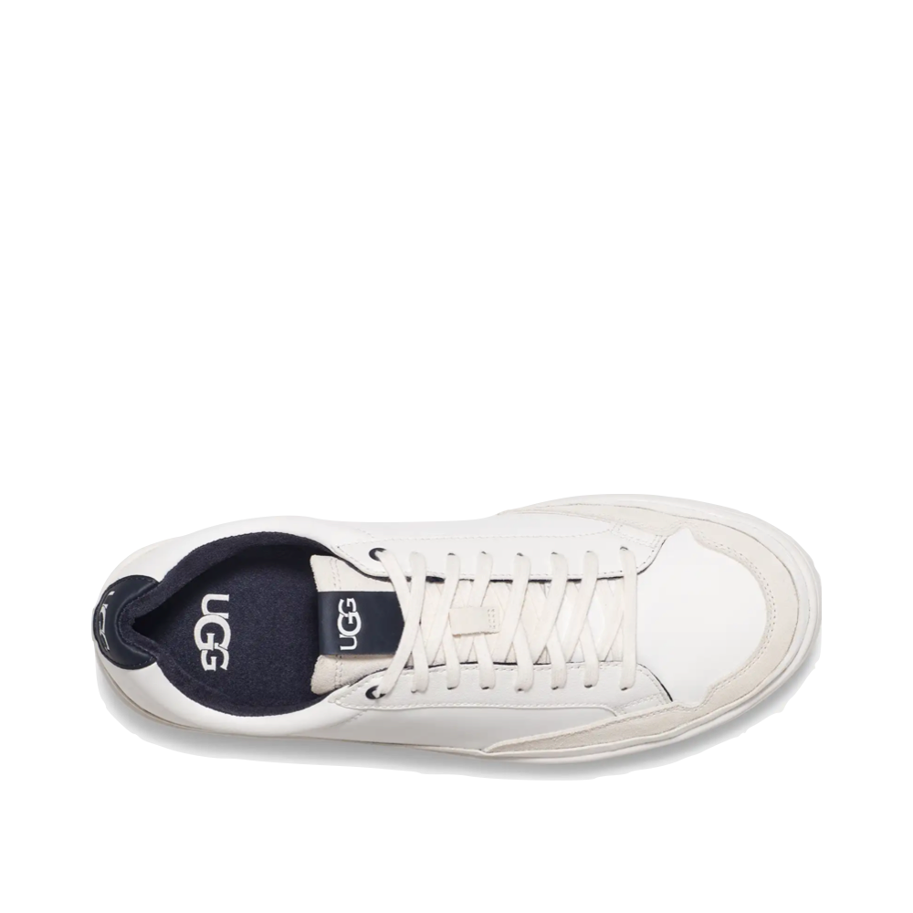 Top-down view of Ugg South Bay Sneaker for men.