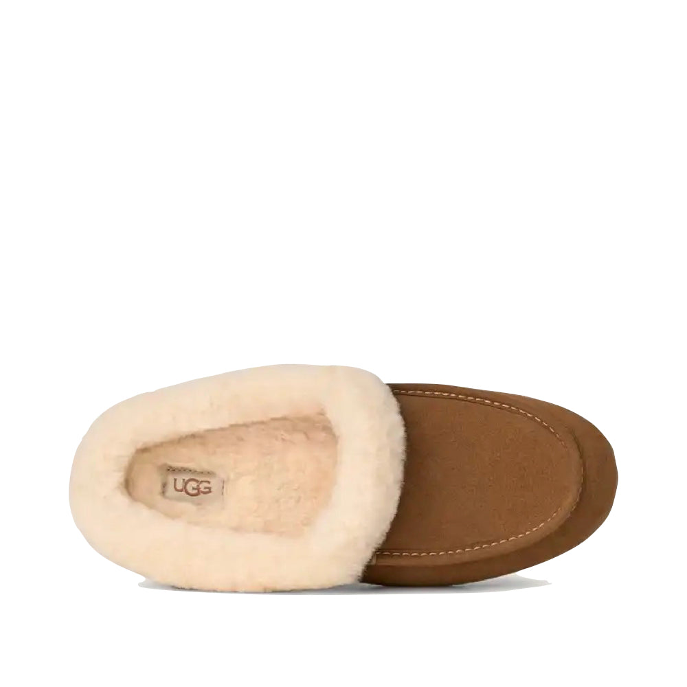 Top-down view of UGG Ansley Mule Slipper for women.