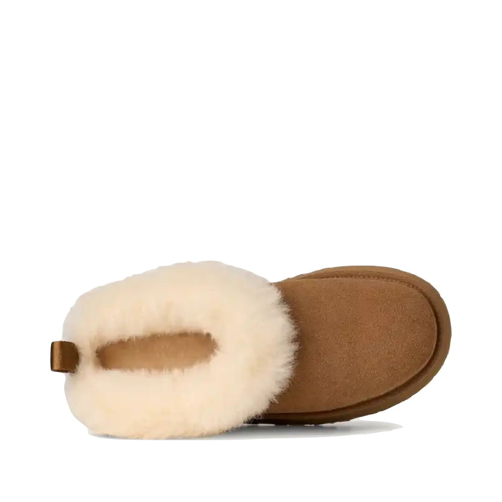 Top-down view of Ugg Tazzelle for women.