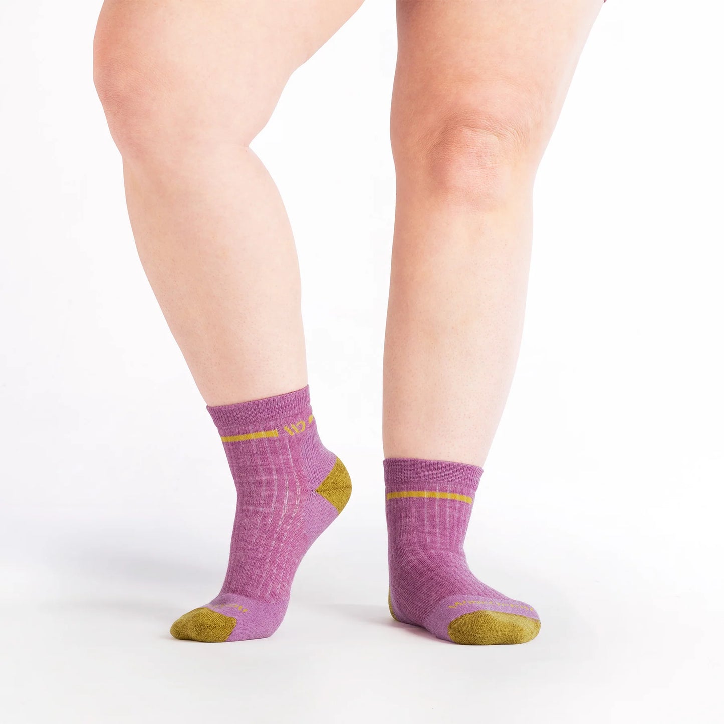 Wide Open by Darn Tough Women's Single Stripe Cushioned Quarter Sock in Violet