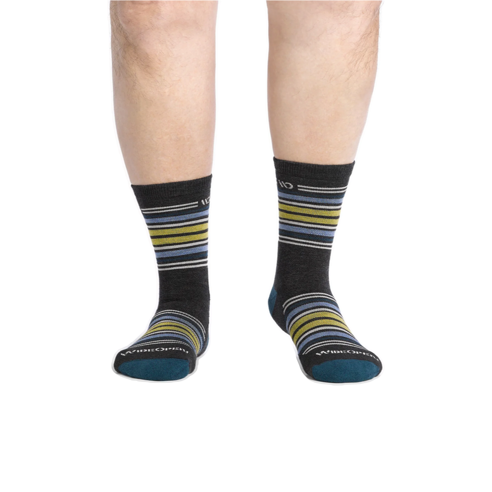 Model view of Wide Open by Darn Tough Multi Stripe Cushion Micro Crew Sock for men.