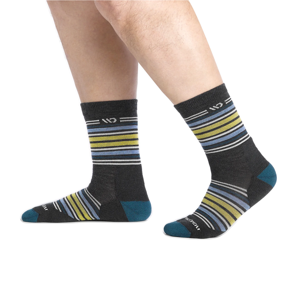 Model view of Wide Open by Darn Tough Multi Stripe Cushion Micro Crew Sock for men.