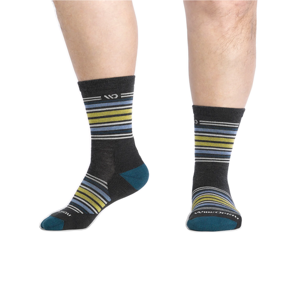 Model view of Wide Open by Darn Tough Multi Stripe Cushion Micro Crew Sock for men.
