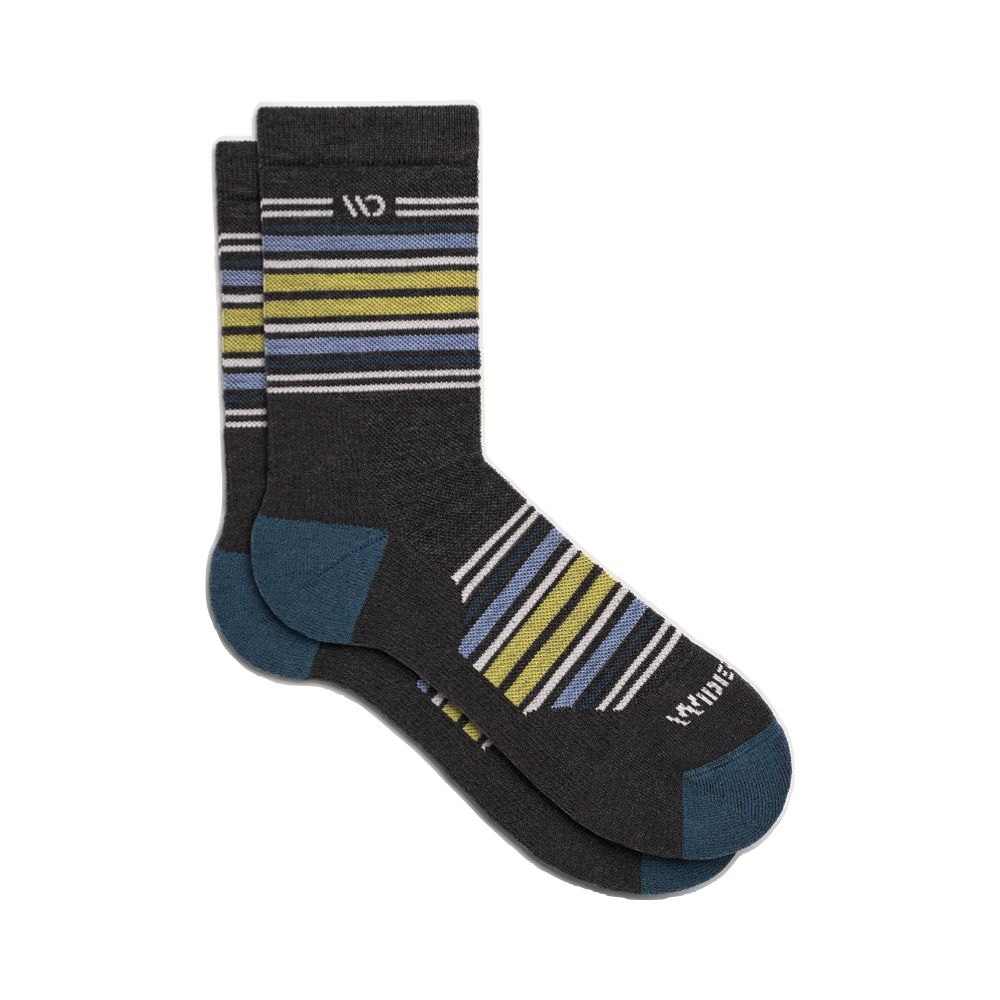 Side (right) view of Wide Open by Darn Tough Multi Stripe Cushion Micro Crew Sock for men.