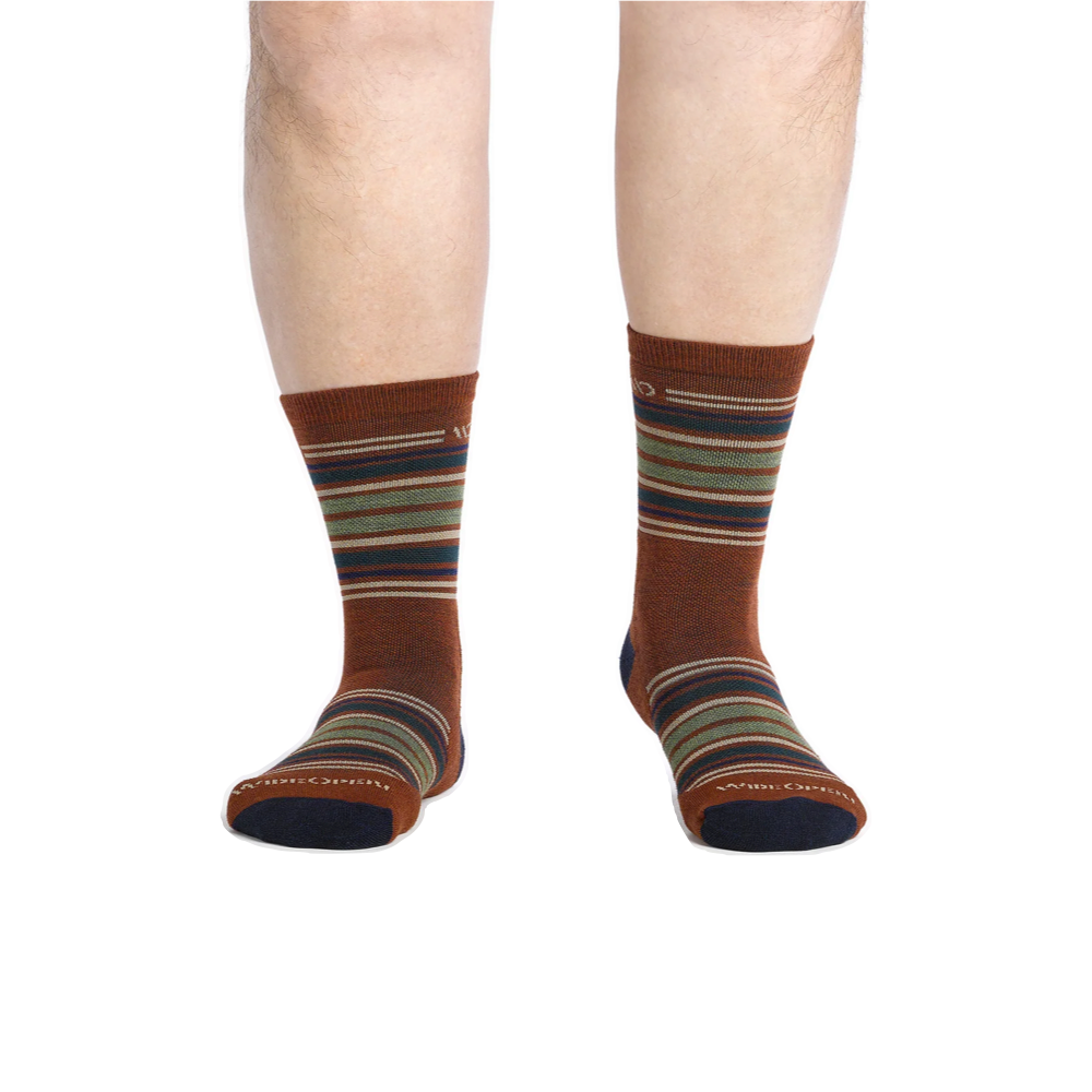 Model view of Wide Open by Darn Tough Multi Stripe Cushioned Micro Crew Sock for men.