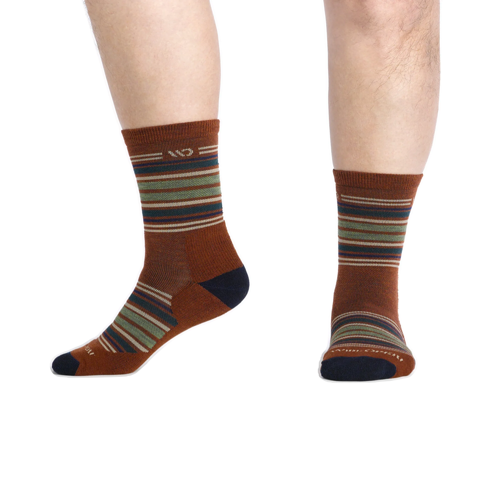 Model view of Wide Open by Darn Tough Multi Stripe Cushioned Micro Crew Sock for men.
