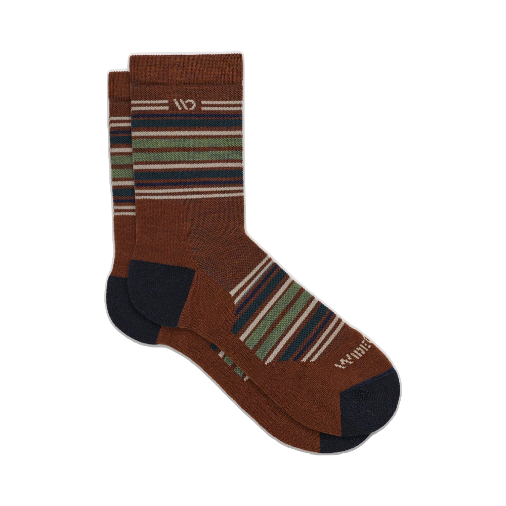Side (right) view of Wide Open by Darn Tough Multi Stripe Cushioned Micro Crew Sock for men.