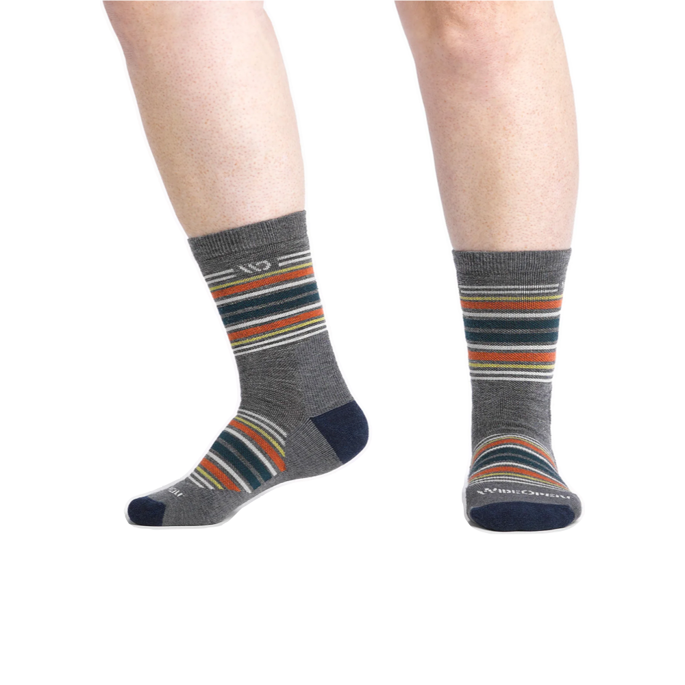 Model view of Wide Open by Darn Tough Multi Stripe Cushioned Micro Crew Sock for men.