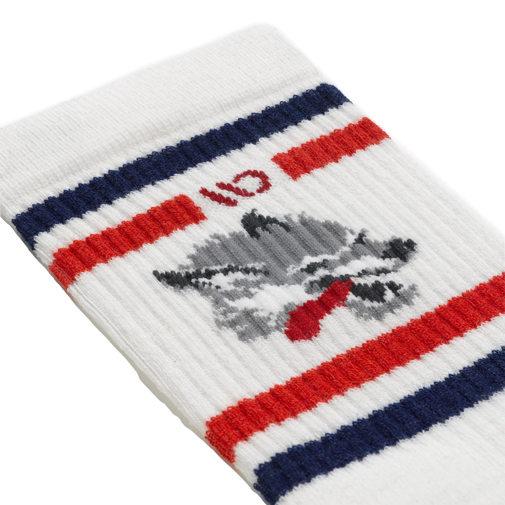 Detail view of Wide Open by Darn Tough Varsity Cushioned Crew Sock for men.