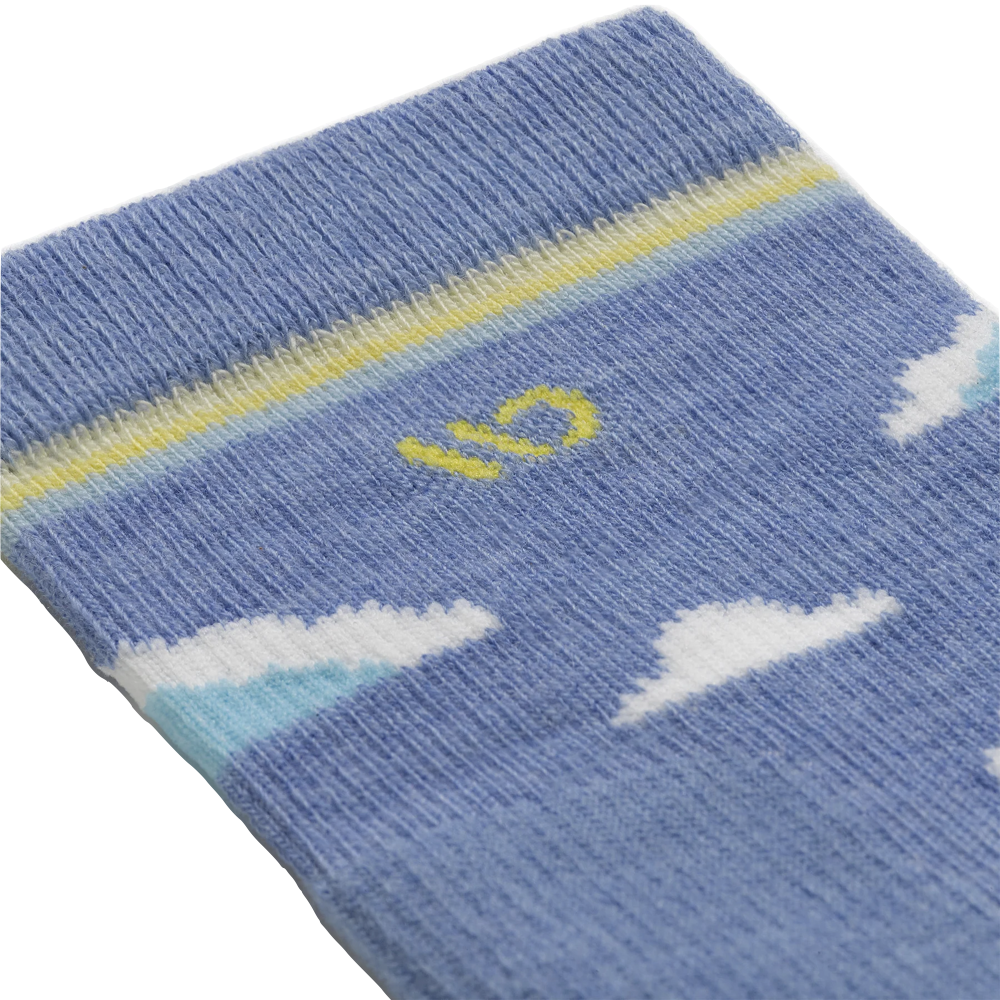 Detail view of Wide Open by Darn Tough Cloud Hopper Cushioned Micro Crew Sock for women.