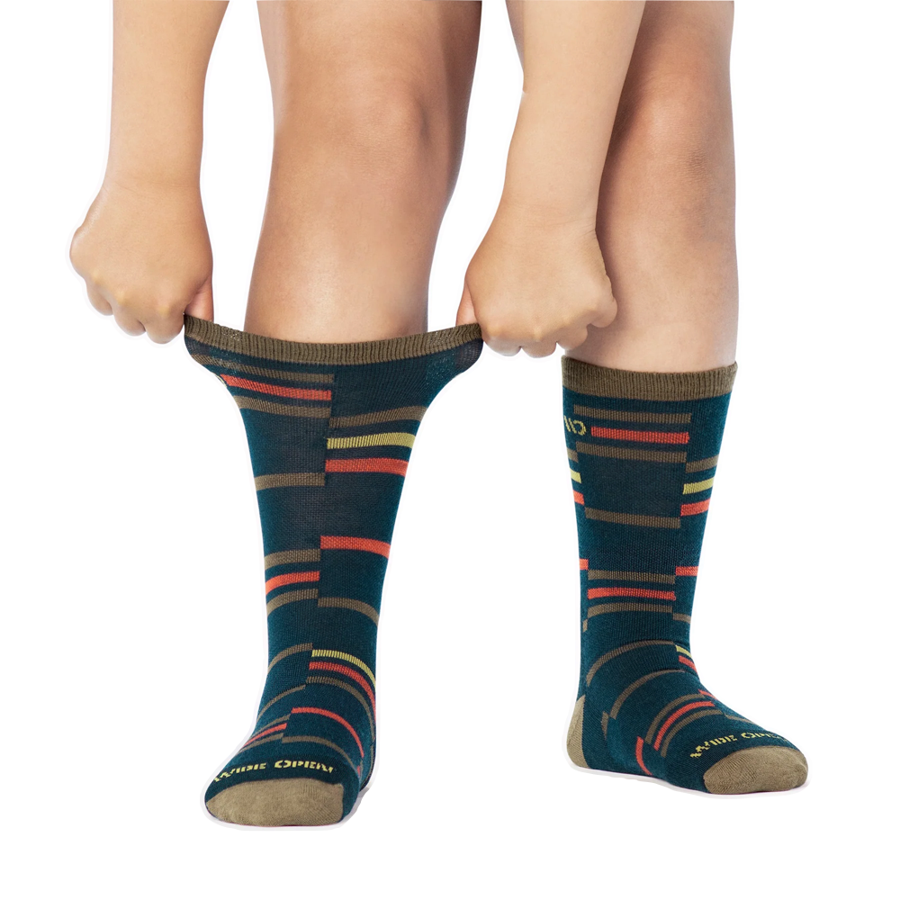 Model view of Wide Open by Darn Tough Crossroad Cushioned Crew Socks for men.