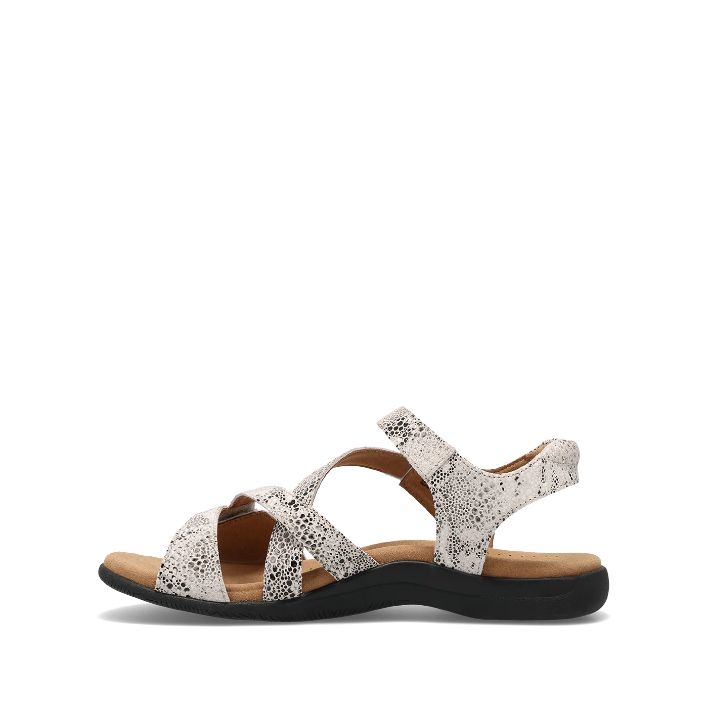 Taos Women's Big Time Sandal in Grey Snake