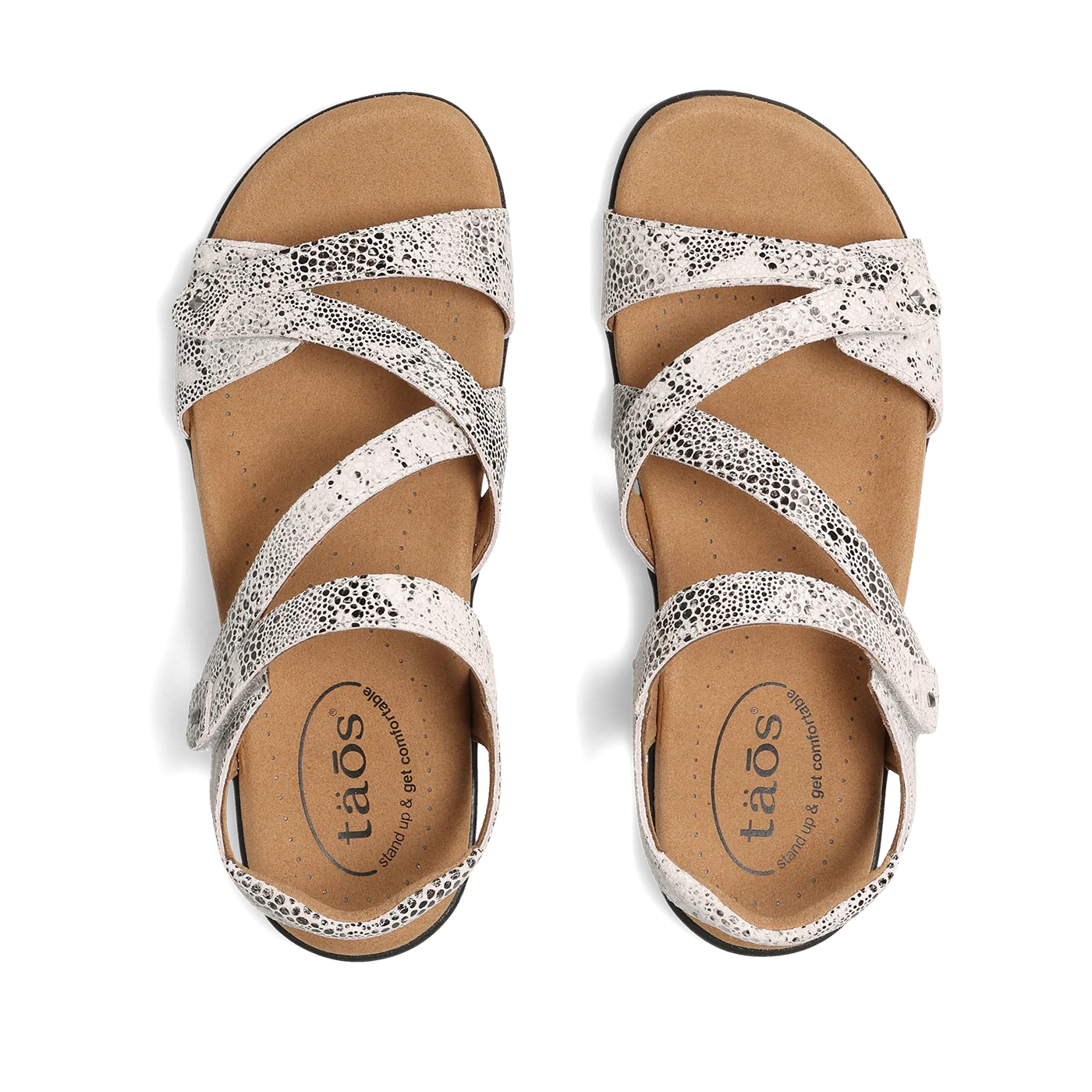 Taos Women's Big Time Sandal in Grey Snake