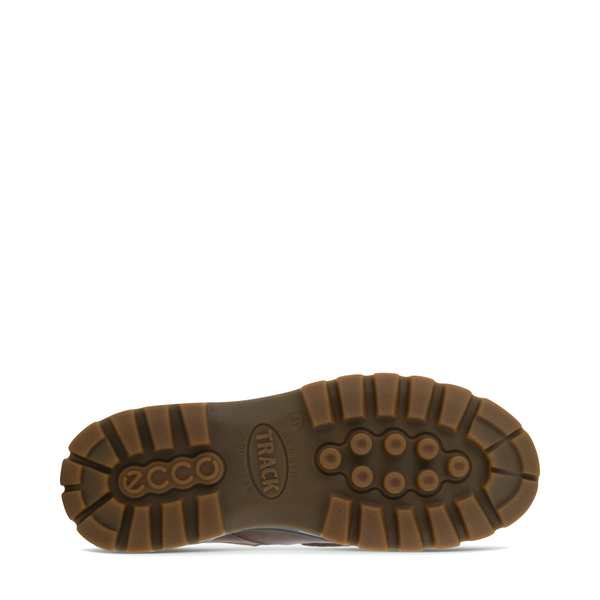 Ecco Men's Track 25 GTX Moc Toe Waterproof Clog in Cocoa Brown