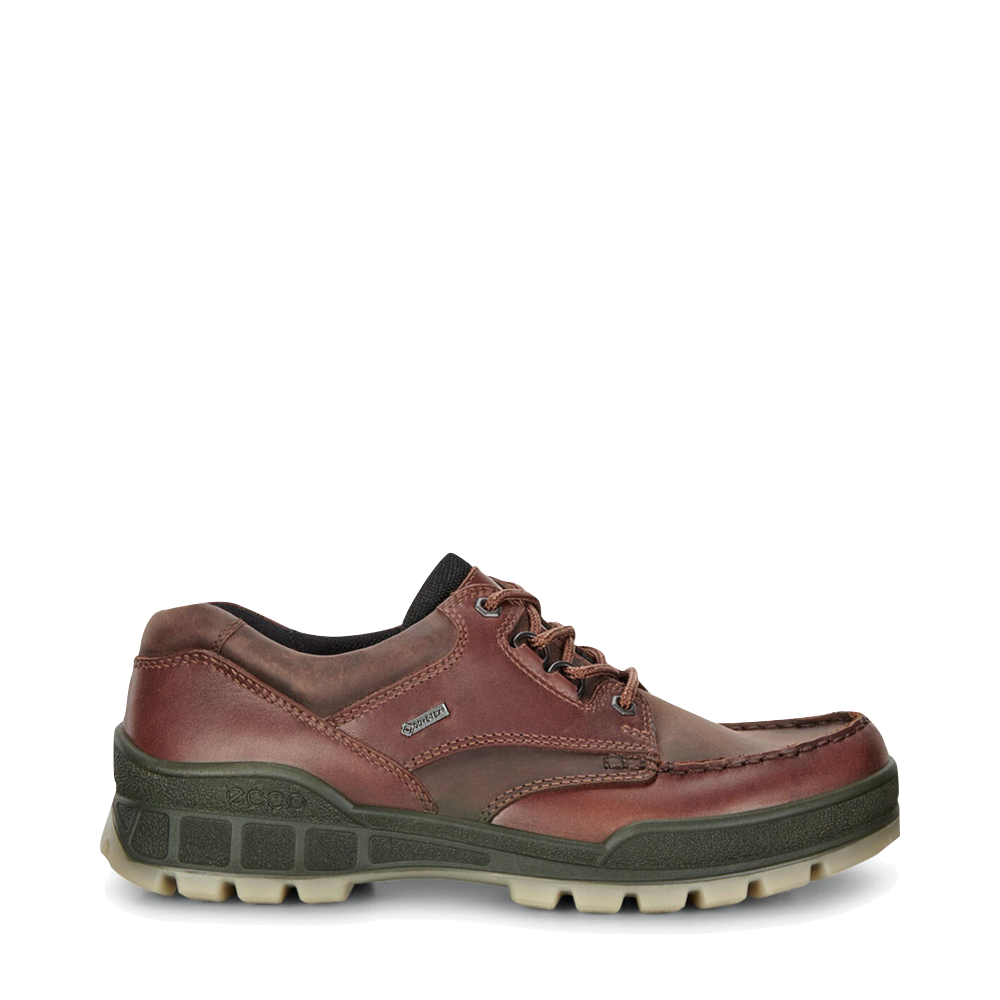 Ecco Men's Track 25 Low GTX Waterproof Leather Shoe in Brown