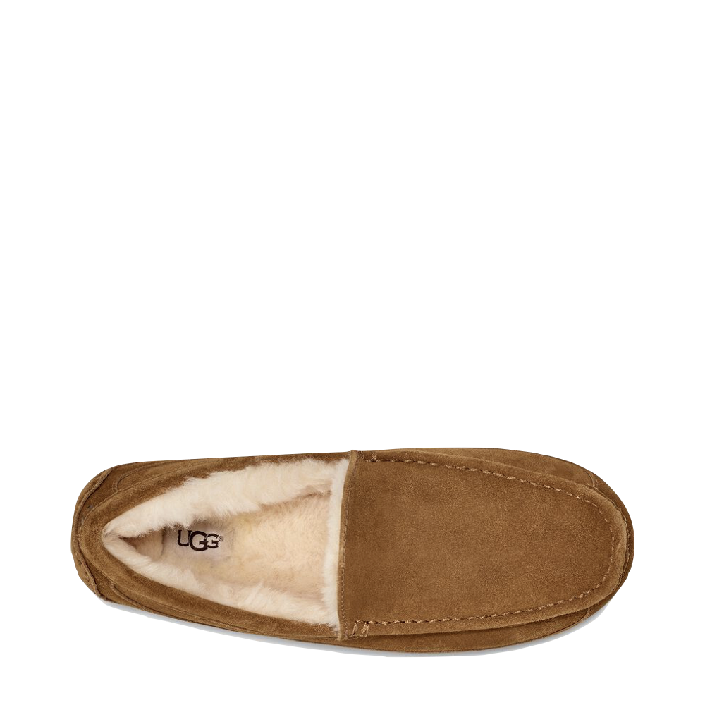 Top-down view of Ugg Ascot Suede Moccasin Slipper for men.